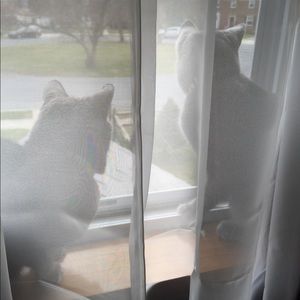 Meet your Posher, Lee ann